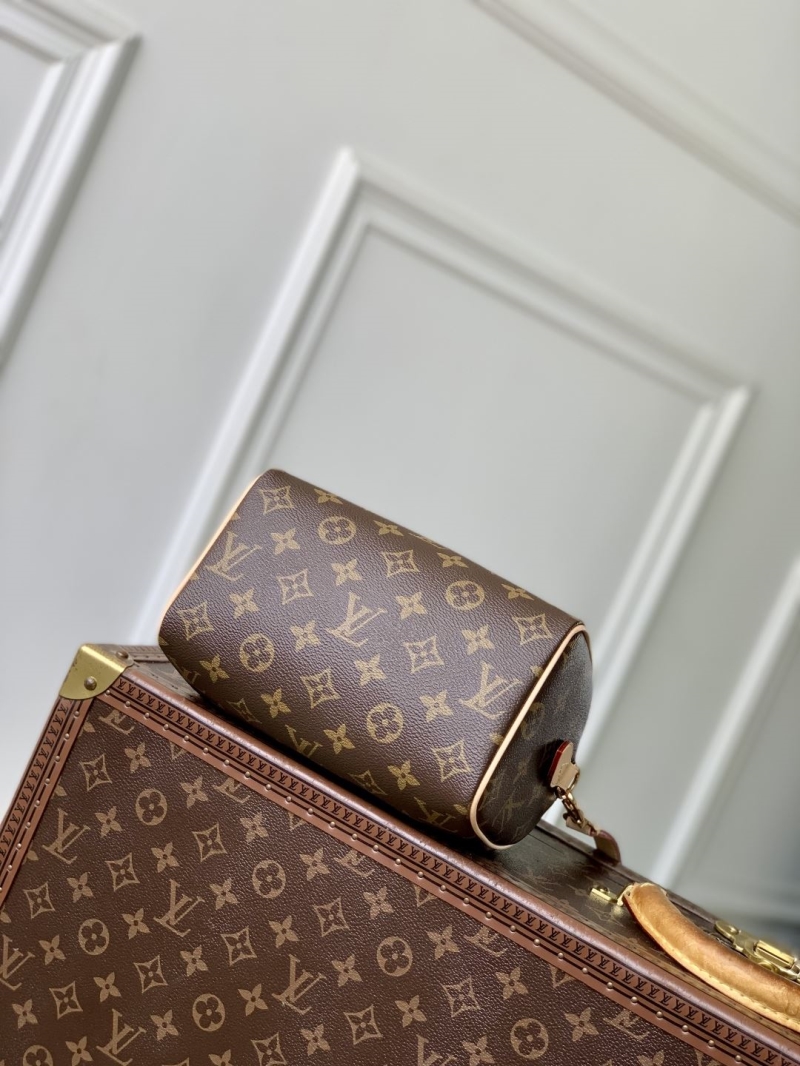 LV Speedy Bags